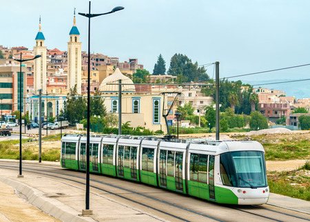 tram expert insights