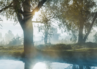 Soziales & Gesellschaft bei voestalpine Wire Technology