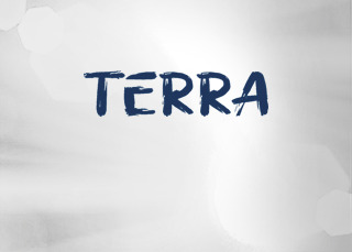 TERRA MP 350 RC